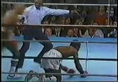 Marvin Hagler vs William Caveman Lee 1982-03-07