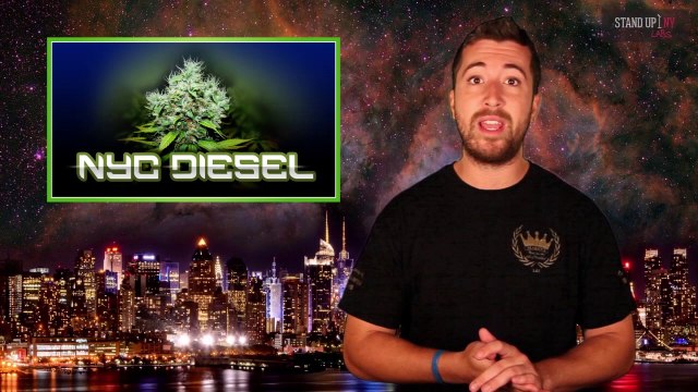 NYC Diesel and The Studio Gets Robbed