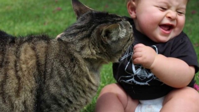 Her gün YeNideN doğar güneş