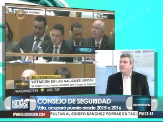 Ingreso de Venezuela al Consejo de Seguridad "es una victoria"