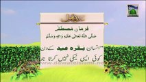 Information About Qurbani 08 (Urdu) - Madani Phool - Golden Words (1)