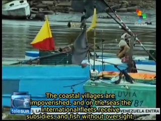 Foreign fleets extract 90% of Costa Rican tuna harvest