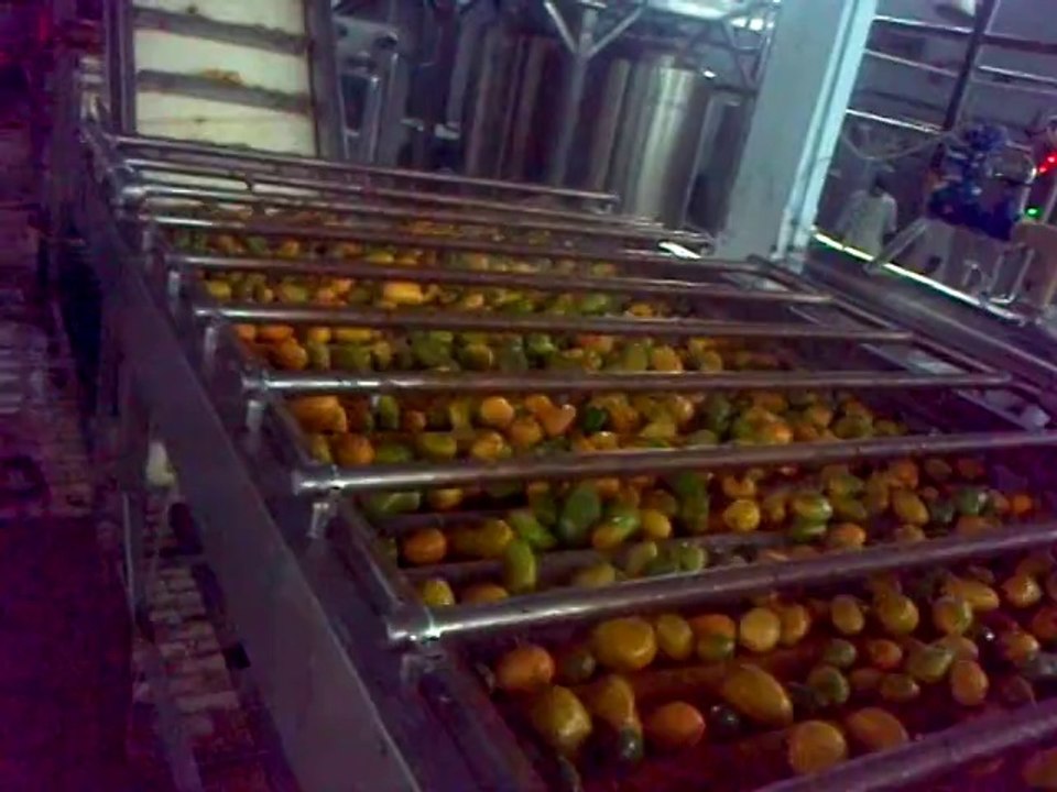 Mango pulp plant Manufactured by Unique engineering Works (Pvt.) Ltd.