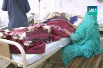 Dengue virus claims first life in Lahore