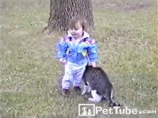 Cat Bumps Baby - Video Dailymotion_2