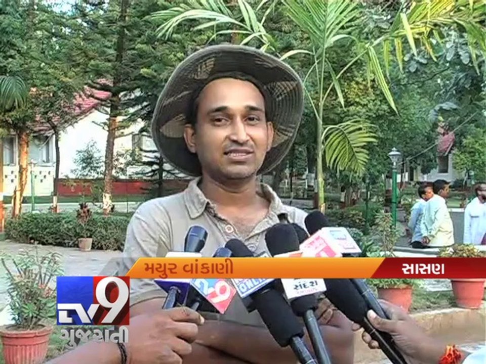 Gir forest reopens for visitors , Gir-Somnath - Tv9 Gujarati