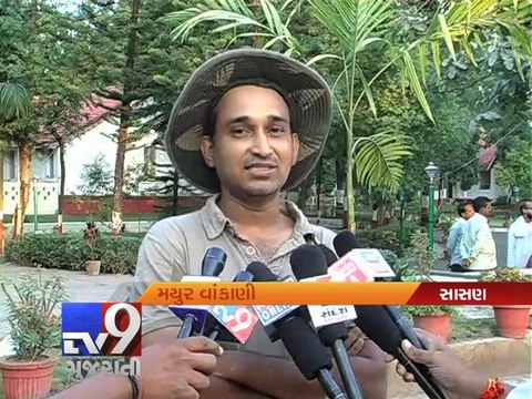 Gir forest reopens for visitors , Gir-Somnath - Tv9 Gujarati