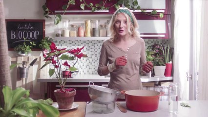 Vidéo : comment traiter ses plantes avec des produits 100% bio ?