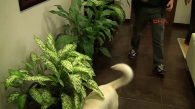 Yenimahalle Belediyesi Binası Bomba İhbarı Üzerine Boşaltıldı