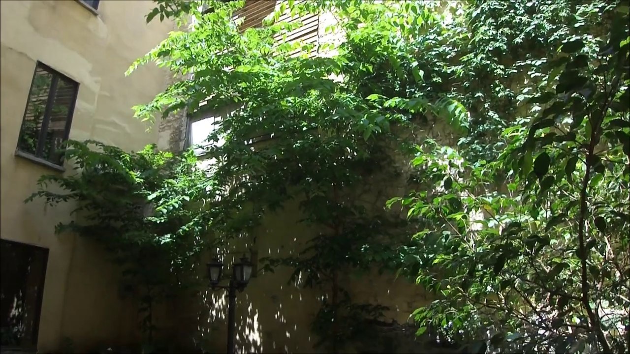 Loft-style-commercial-office-for-lease-old-Montreal-203