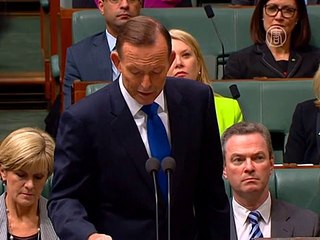 Активисты на сёрфах пытались остановить судно с углём