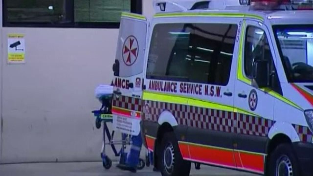 Shark attacks 13-year-old girl while surfing in Australia