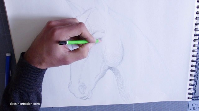 Dessiner un cheval - portraits d'animaux