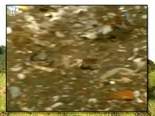 Geschichte 13: Der geschundene Planet – Die Folgen der Industrialisierung im 19. Jahrhundert 🌍