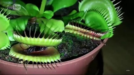 Espai Terra. Divendres 17 d'octubre