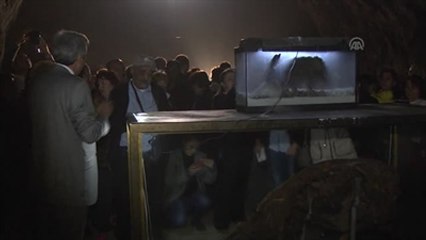 Dr. Reşit Galip ve Hemşire Safiye Elbi Uluslararası Katılımlı 5. Ulusal Tıp Günleri"