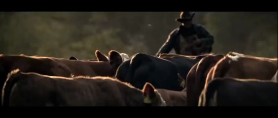 Courtyard : Make room for a little fun - Cattle Drive