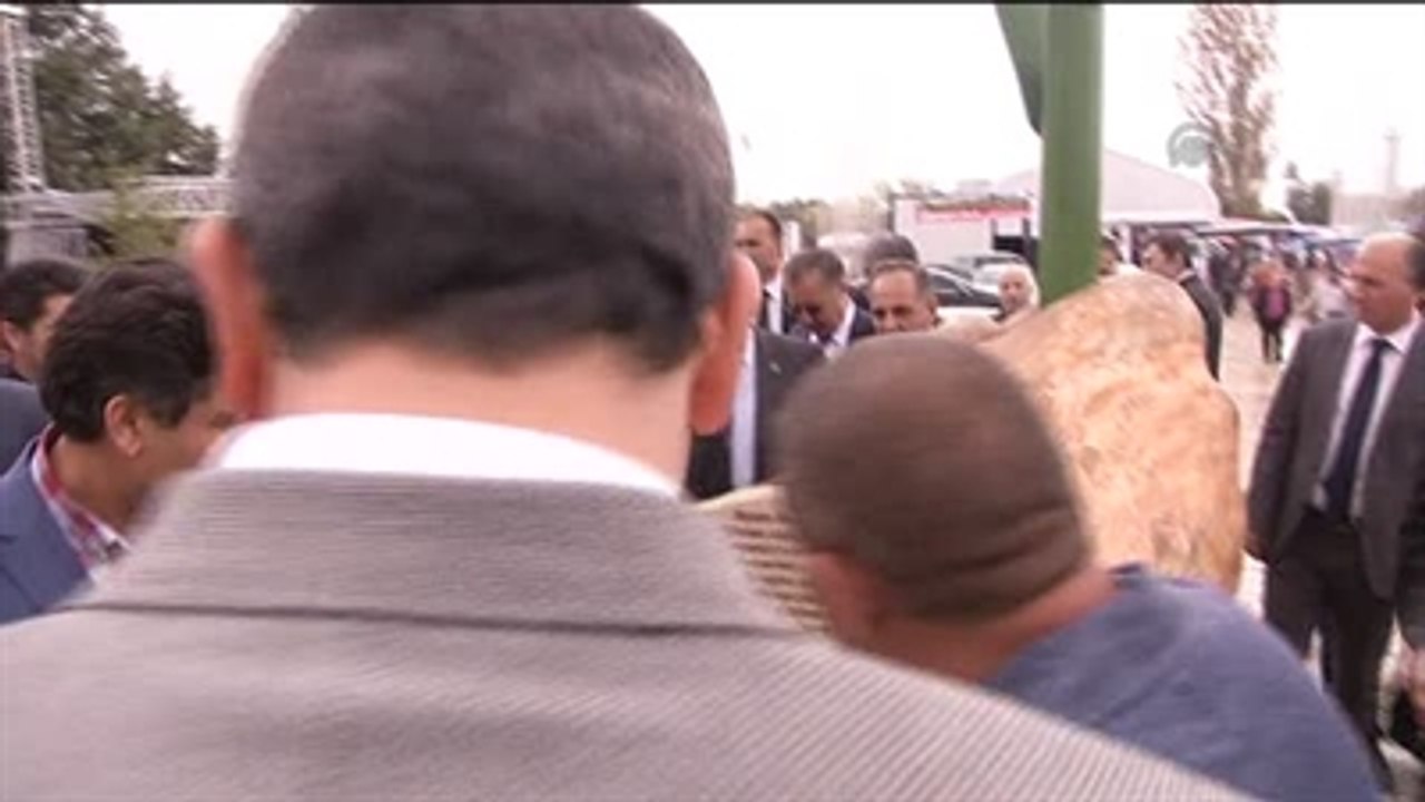 Güllüce "Kars-Ardahan-Iğdır Günleri" Etkinliğine Katıldı