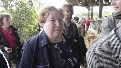 Magdeleine malade de la maladie d' Alzheimer à la rencontre des vaches