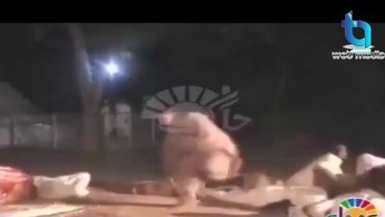 WARNING  Dont watch this video if you are below 18 years of age