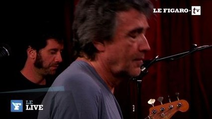Jean-Louis Murat - «Le Blues Du Cygne»