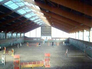 chute de cheval maud