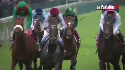 L'écurie du Parisien. Trêve vise un 3e Arc de Triomphe et nos pronostics pour Auteuil