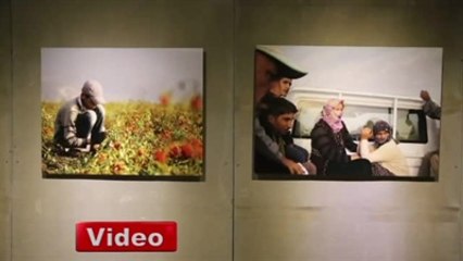 Tarım İşçisi Çocukların Dramı