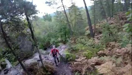 25 bosses FONTAINEBLEAU