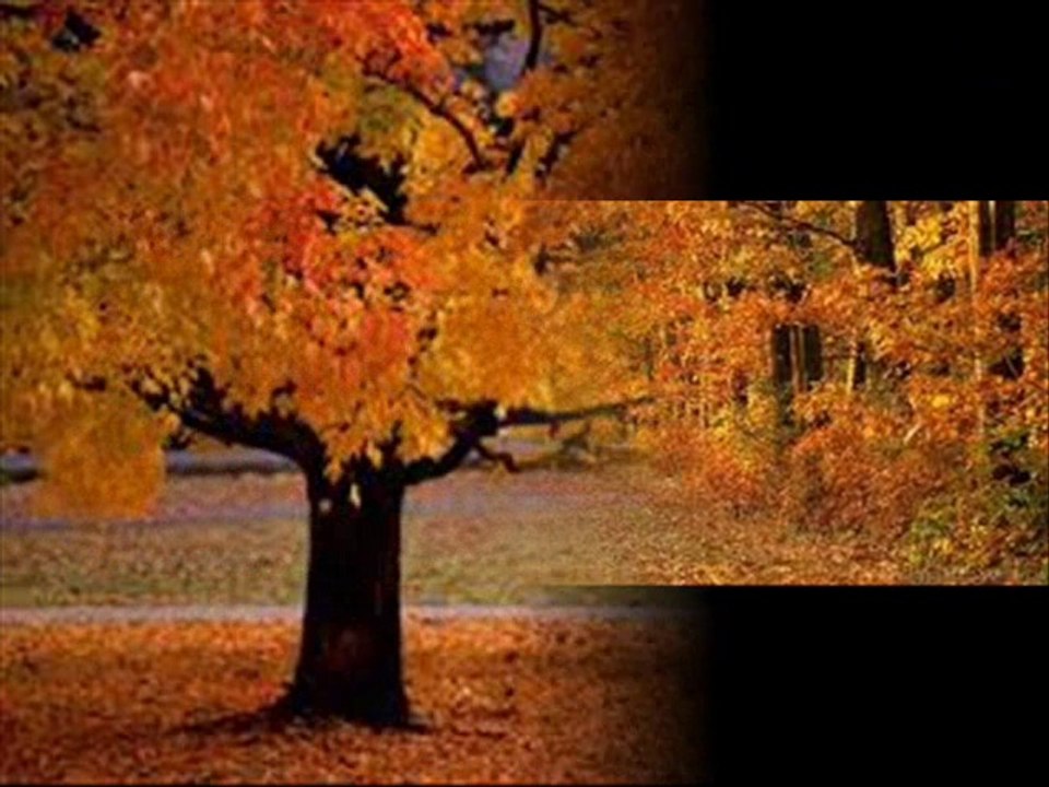 Aşık Sefai-Dağlar İçinde