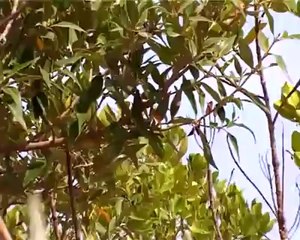 GAWADAR- beauty of BALOCHISTAN