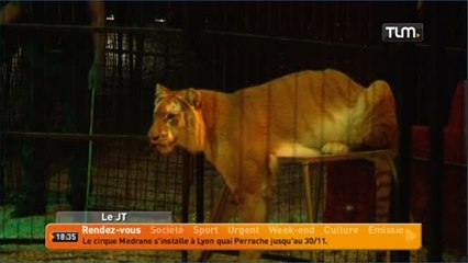 Le cirque Medrano s'installe à Lyon