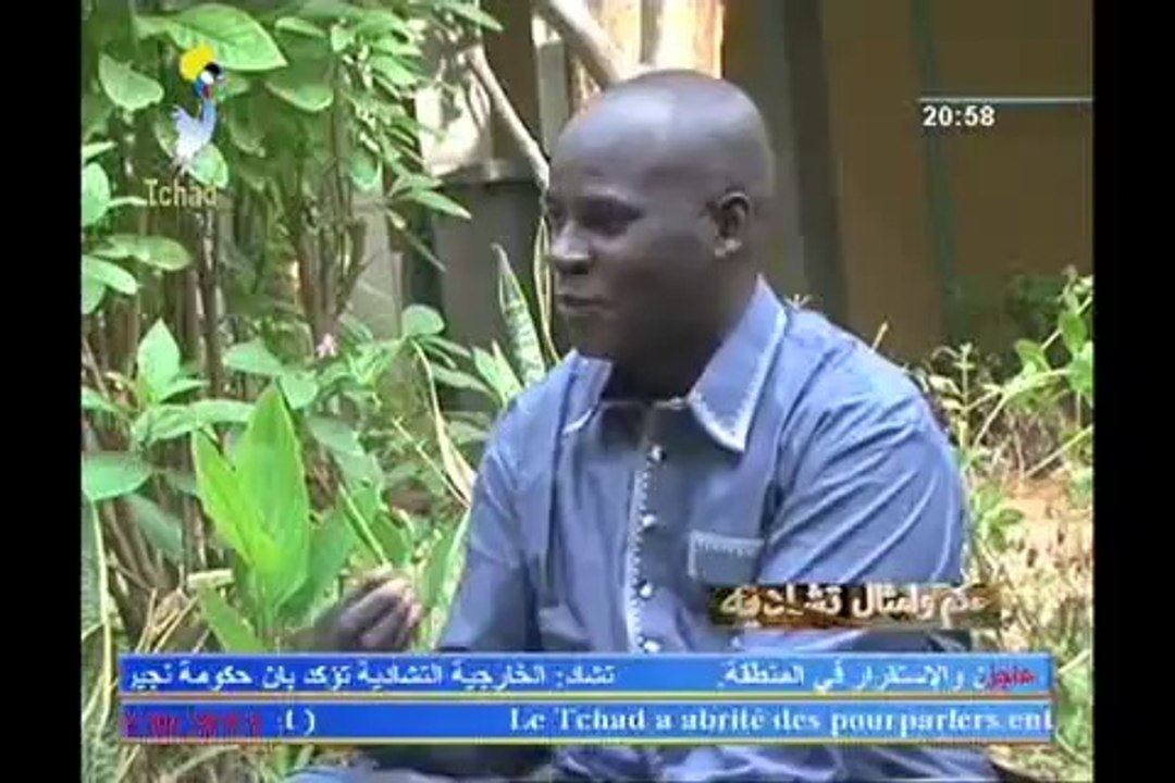 PROVERBES ET CITATIONS TCHADIENNES DU 17 OCTOBRE 2014 SUR TOL