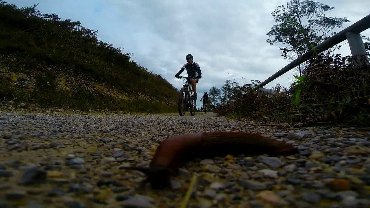 Club Ciclista Burela - Aviles (Gorfolí & baixada Clavícula)