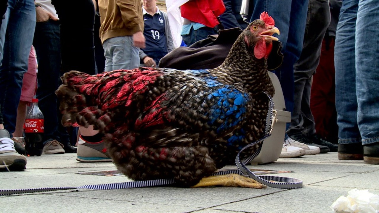 International - Gallas, des titres, des buts et ...des clashs