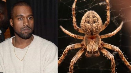 Kanye West’s Secret Terror: A Paralyzing Fear of Spiders