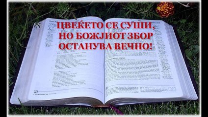 Библијата го менува животот