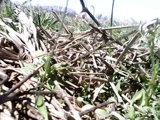 RCPowers F-15 Eagle high altitude test