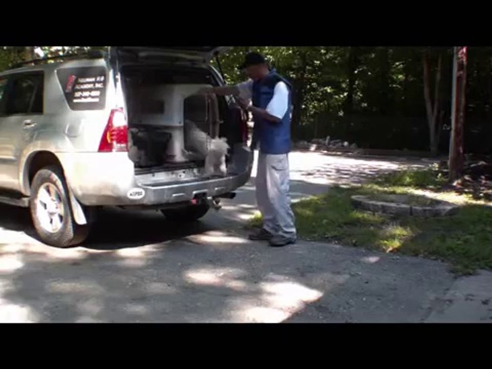 Bichon Frise Dog Training - Oliver Obedience I. Graduate