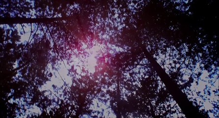 Hangar 10 (2014) Trailer