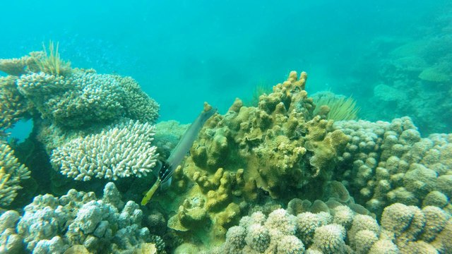 Les Cabanons à Mayotte