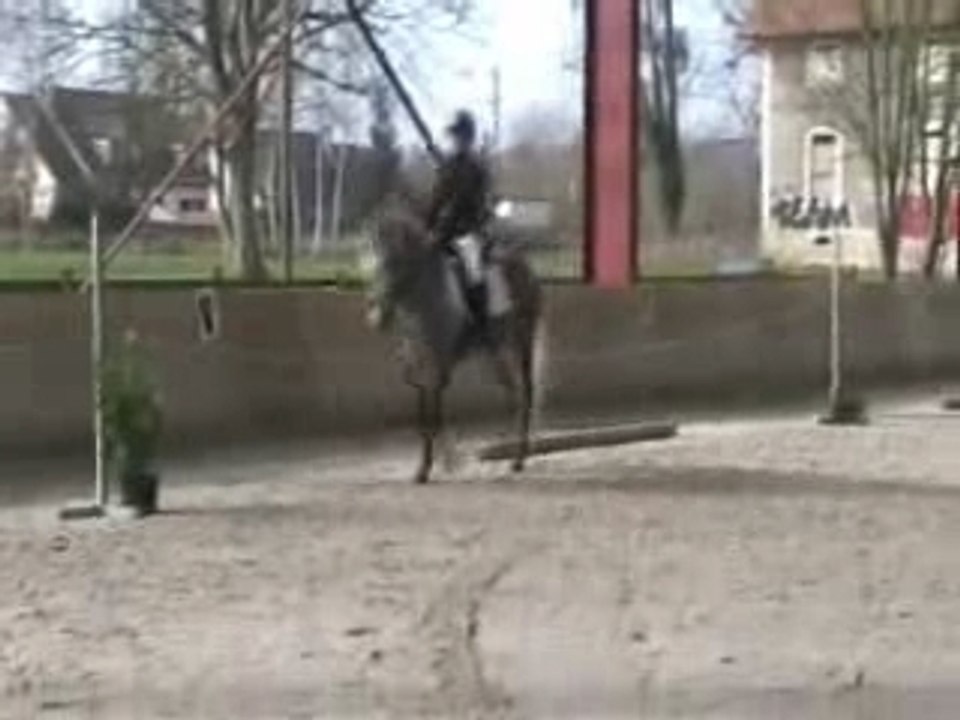 Vidéo lilipuce maëlla