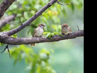 광주대딸방 〔유 피 디 yupd1쩜컴〕 신중동대딸방 실사
