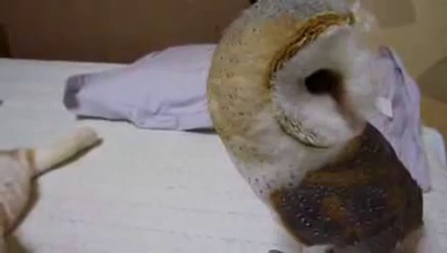 Sincan Auer Şervişi 271 29 00