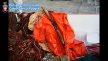 Vieste (Fg) - Pescatore ucciso a colpi di fucile, arrestato il cognato (17.10.14)