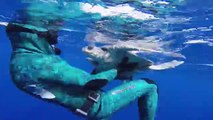 GoPro_ Diver Saves Sea Turtle
