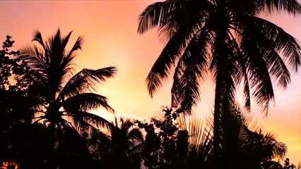 Maldives with Pedro Henrique