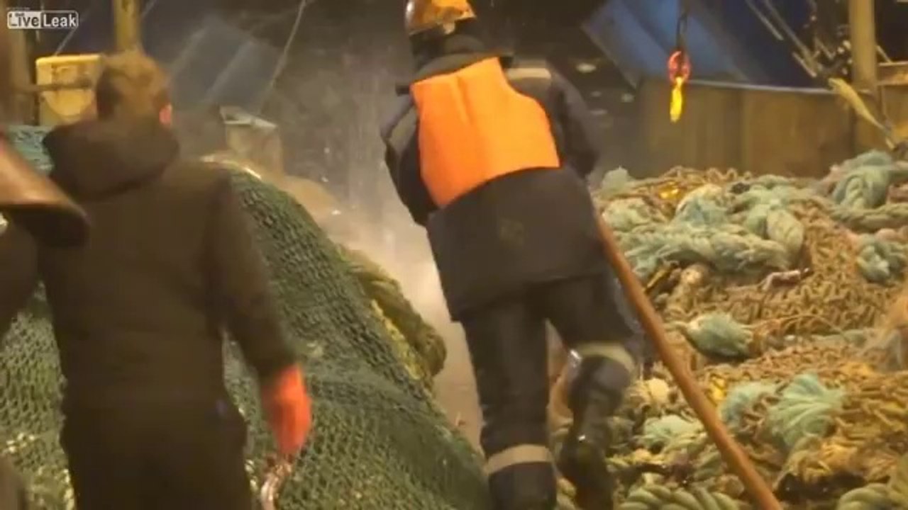 Ces pêcheurs vont attraper dans leur filet quelque chose d'inattendu !