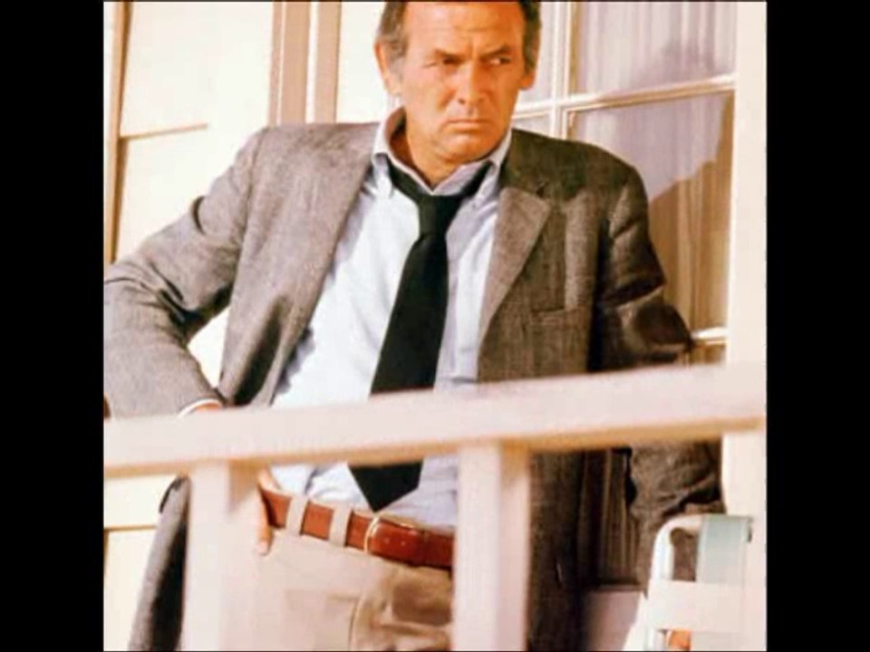 HOMENAJE A DAVID JANSSEN