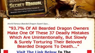 Bearded Dragon Secret Manual + DISCOUNT + BONUS